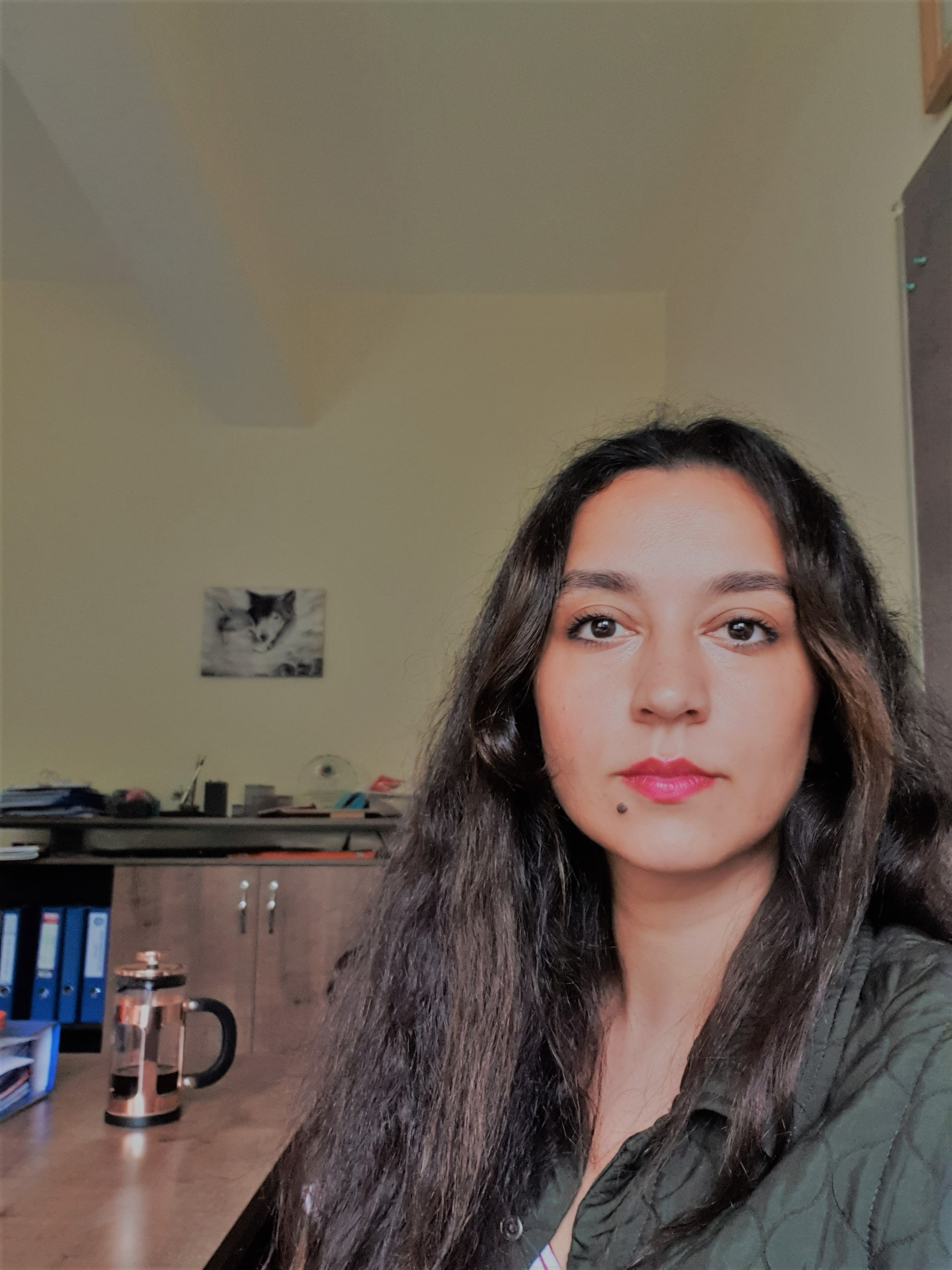 ÖZLEM HERGÜL HOCAOĞLU